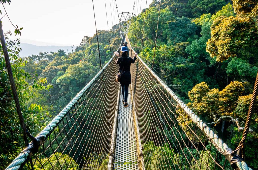 rwanda safaris, gorilla trekking,safaris in rwanda, nyungwe safari