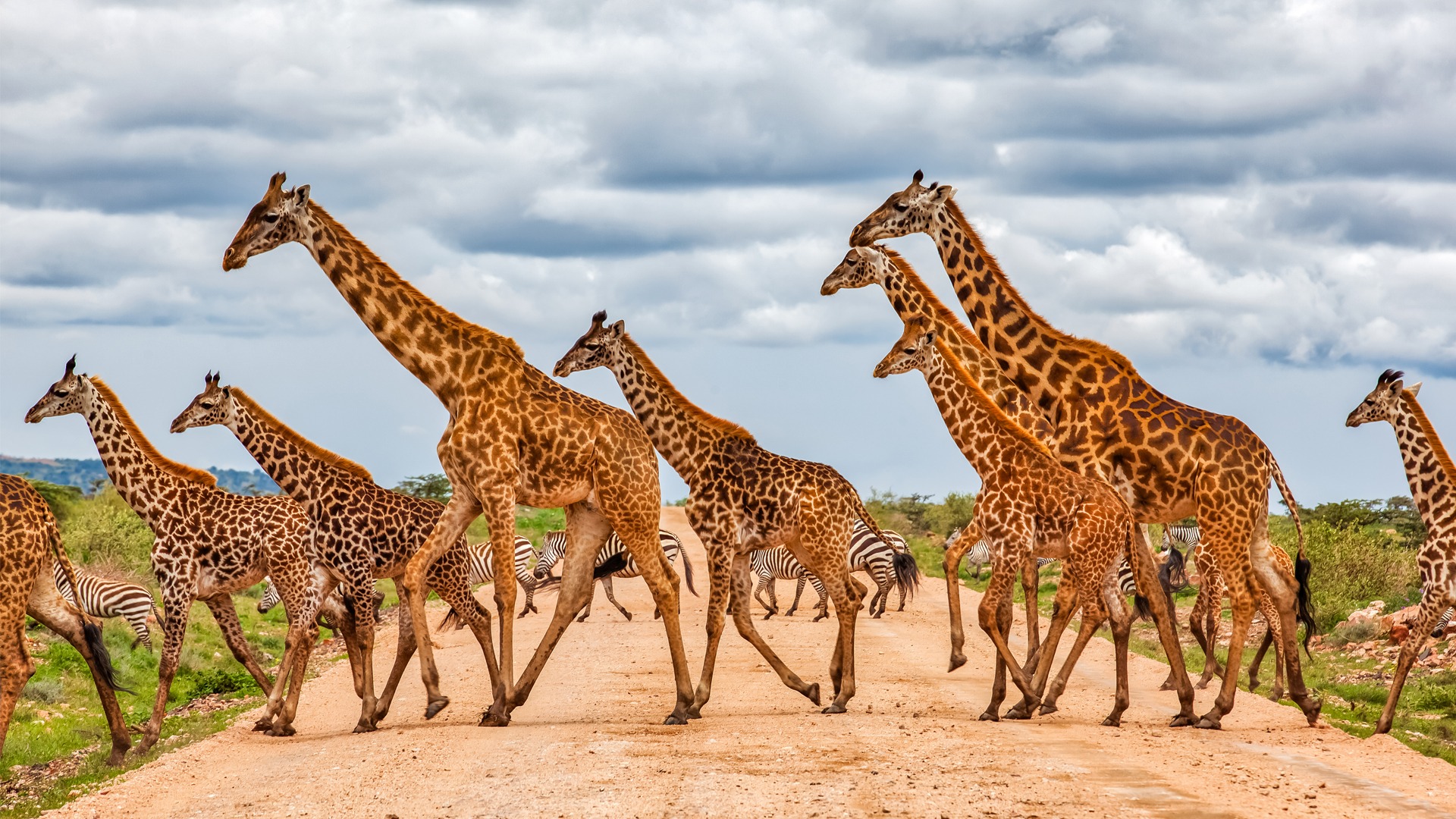 2 Days Akagera National Park Safari and Boat Ride Adventure, 3 Days Akagera National Park Adventure and Kigali City Tour, 7 Days Wildlife and Primate Safari Rwanda