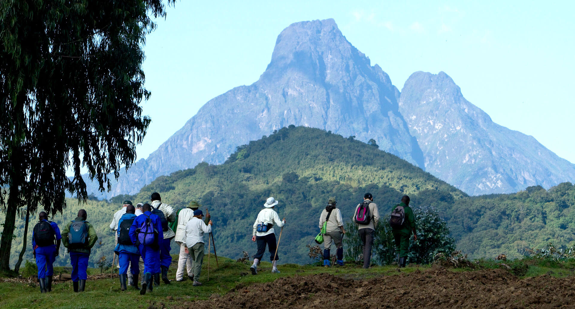 gorilla trekking, rwanda safaris