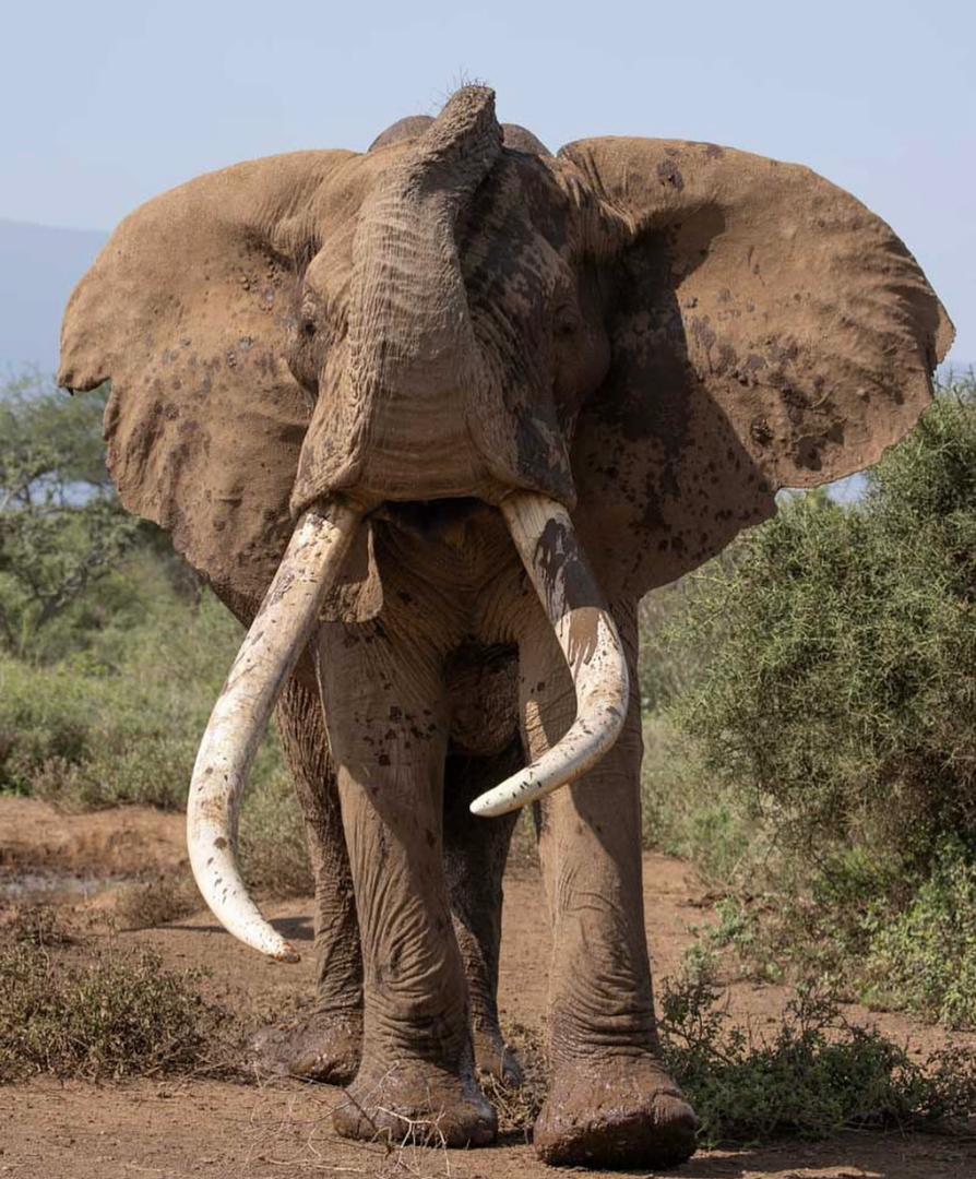 1 Day Akagera National Park Adventure, 5 Days Akagera Big 5 Safari & Cultural Tour Rwanda