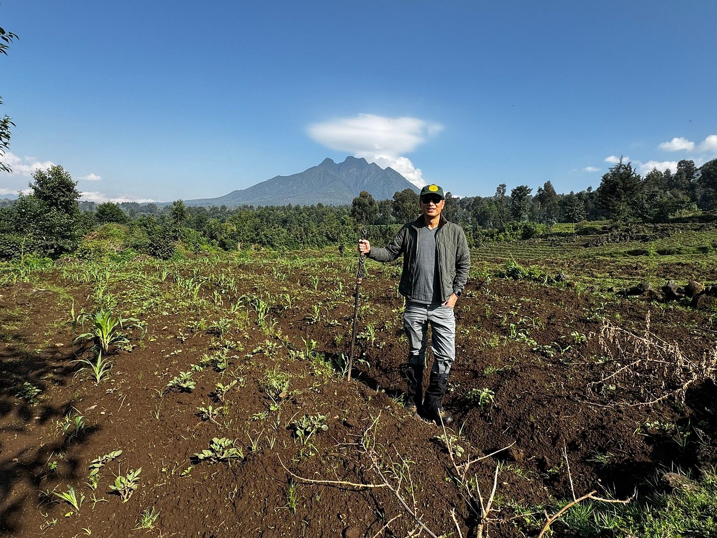 mountain gorilla trekking in volcanoes national park, gorilla trekking in Rwanda