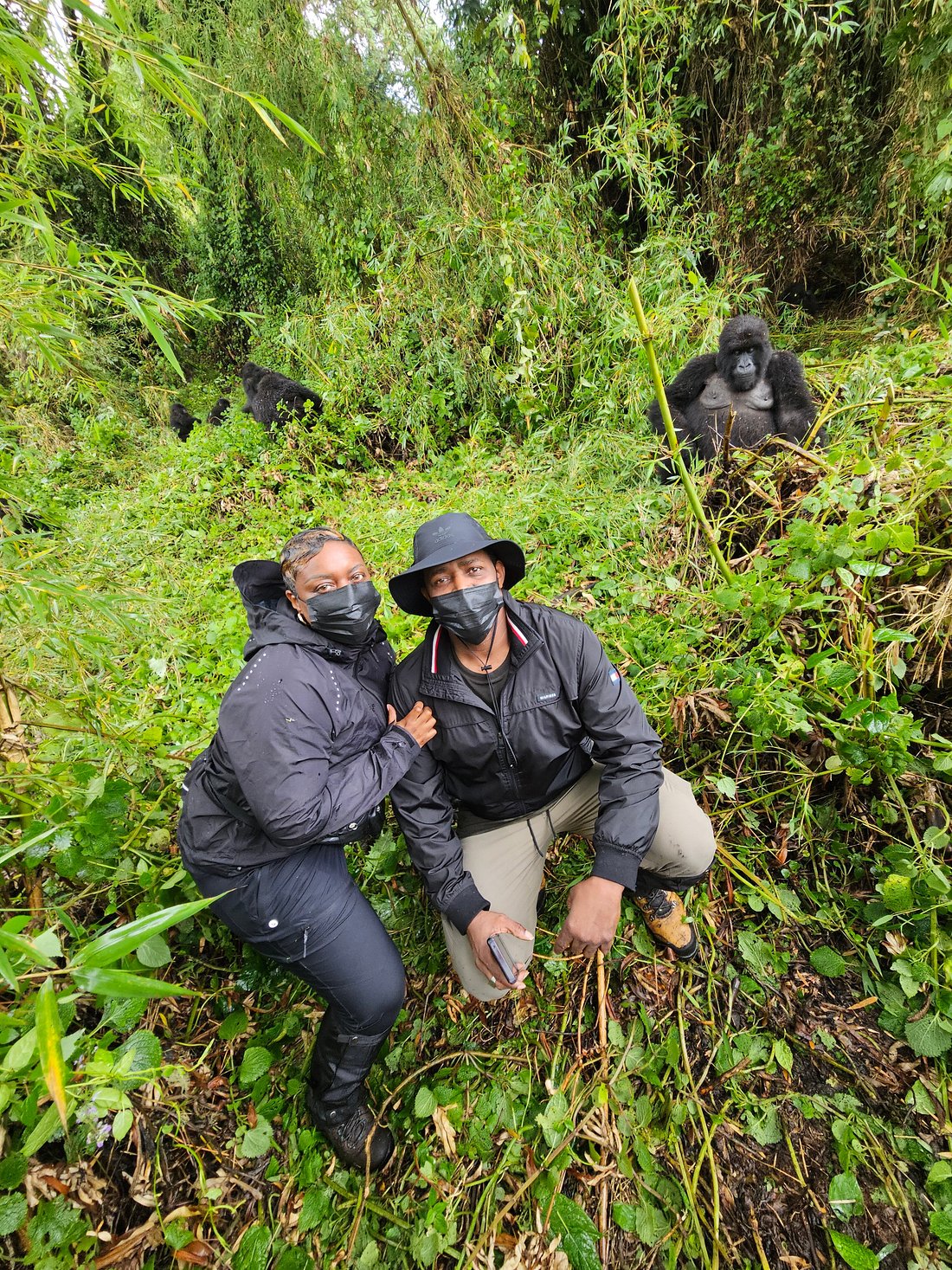 7 Days Wildlife and Primate Safari Rwanda, go gorilla trekking in Rwanda