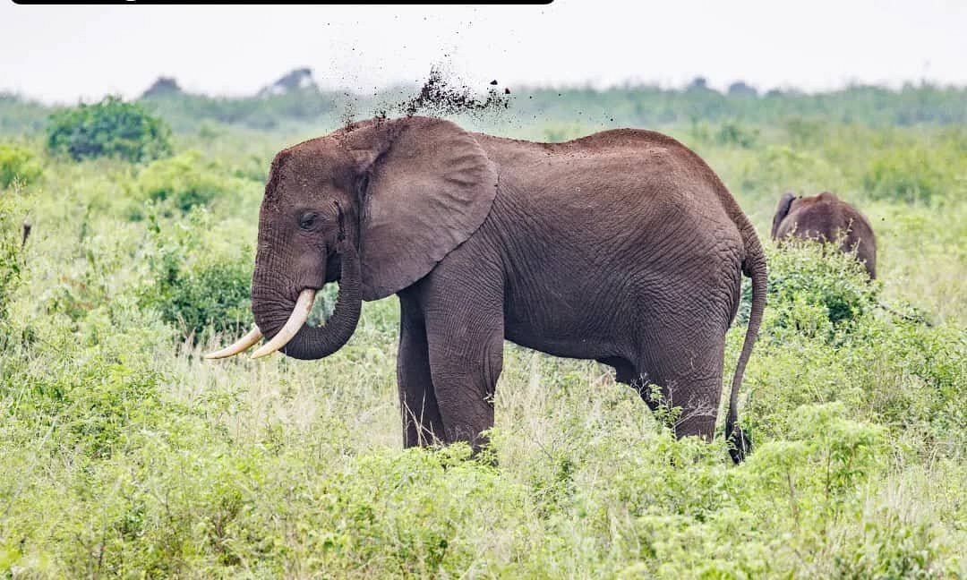 5 days rwanda safari, lake kivu rwanda, lake kivu adventure rwanda, rwanda safaris