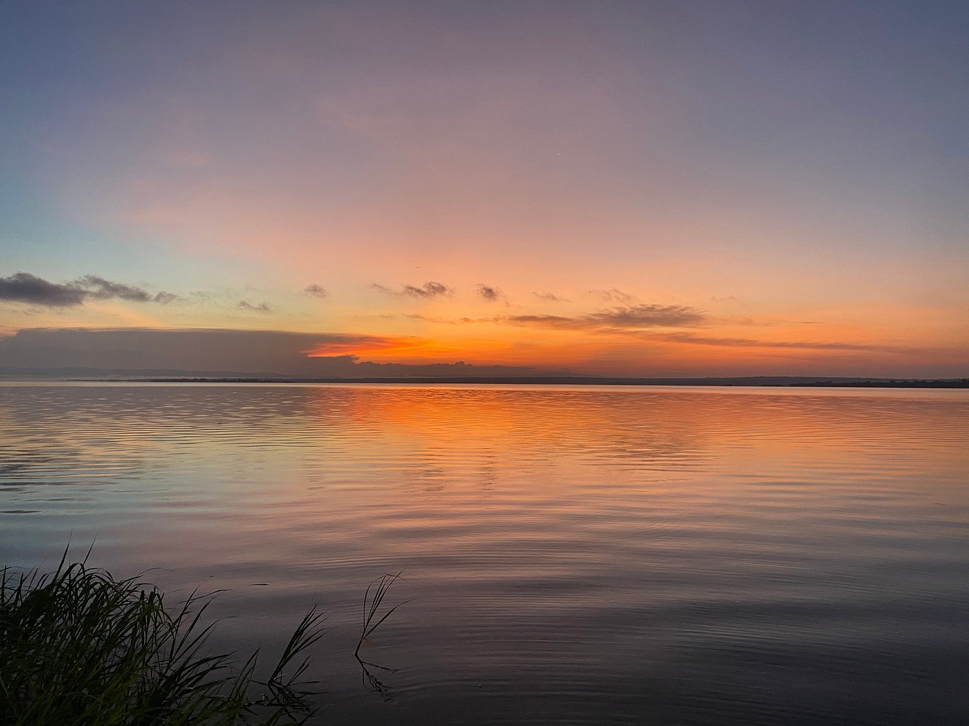 Rwanda Safari Tours – What Makes Rwanda Unique in Africa