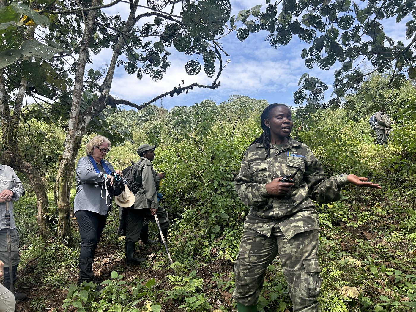 mountain gorilla trekking in volcanoes national park