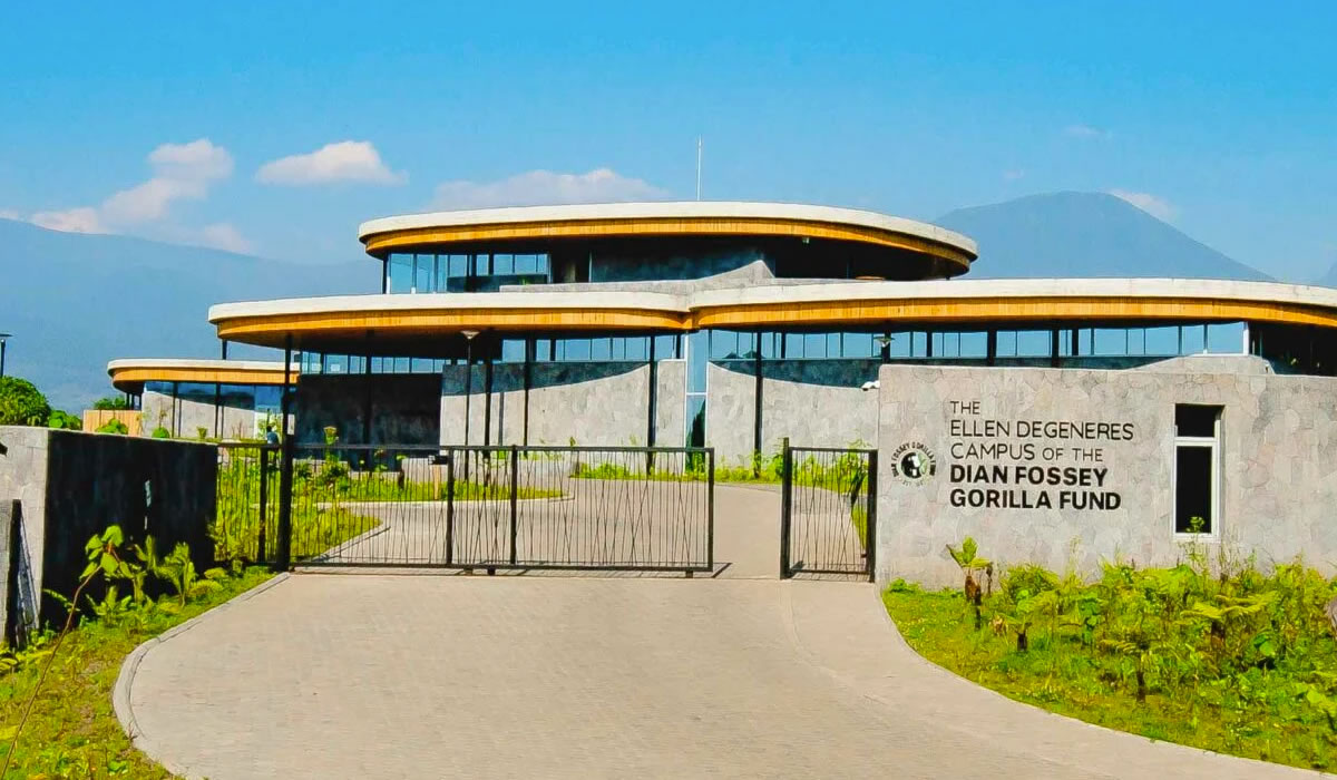 Hikes to the Dian Fossey Tomb and Karisoke Research Center