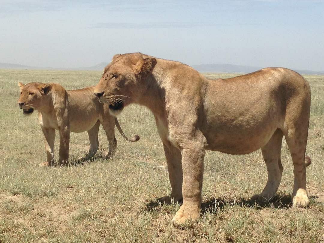 akagera national park adventure