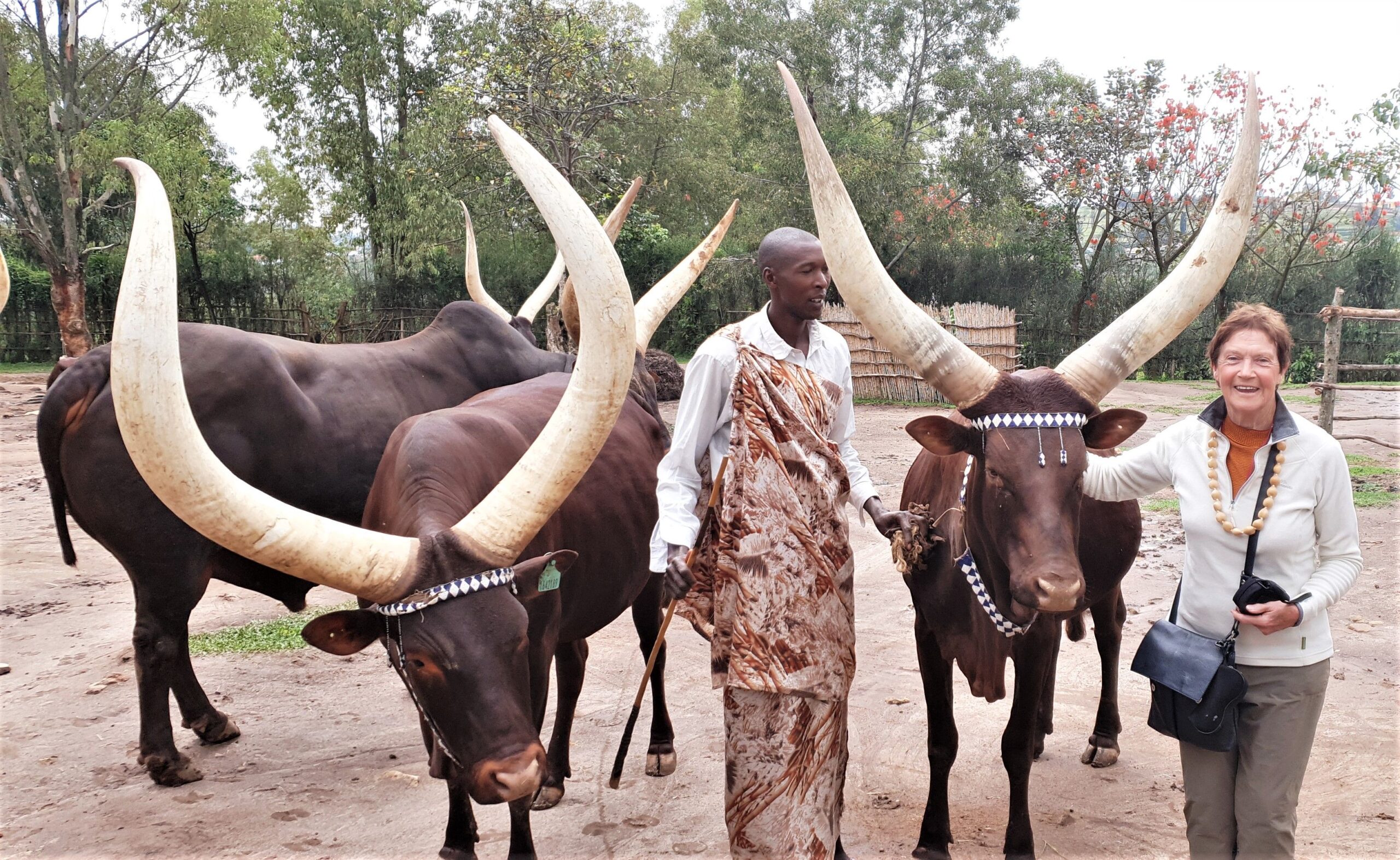 Rwanda Safari Travel Tips – Everything You Need to Know