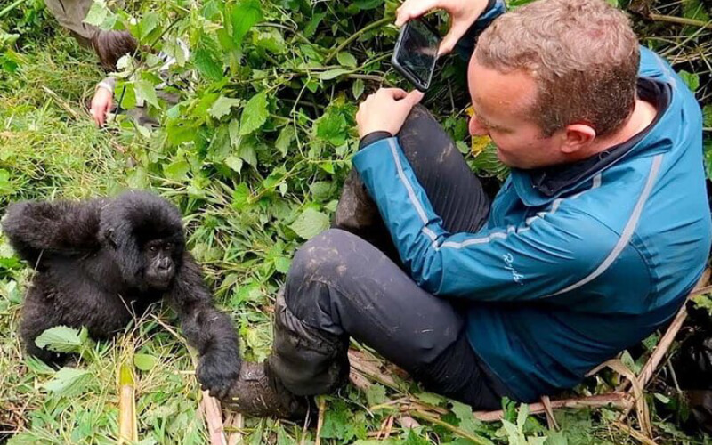rwanda safaris, gorilla trekking,safaris in rwanda, nyungwe safari