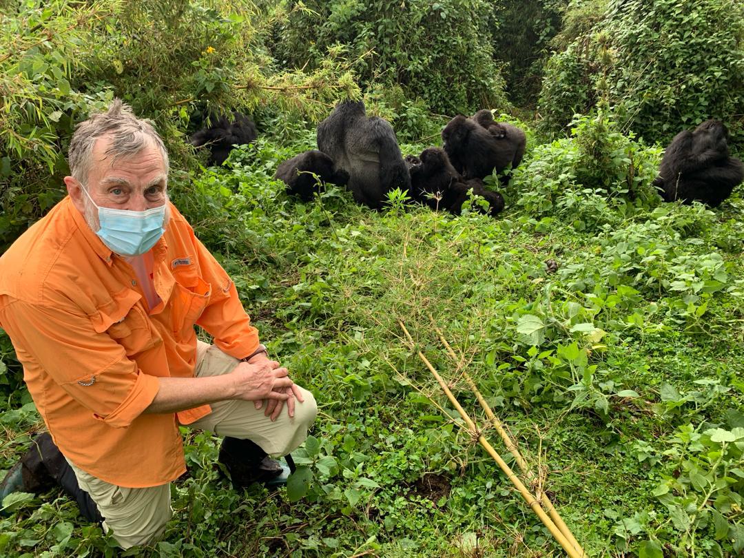 wildlife safaris, wildlife safaris in rwanda, gorilla trekking in rwanda, rwanda gorilla trekking, visit rwanda safaris, visit rwanda, Luxury Gorilla Safaris in Rwanda