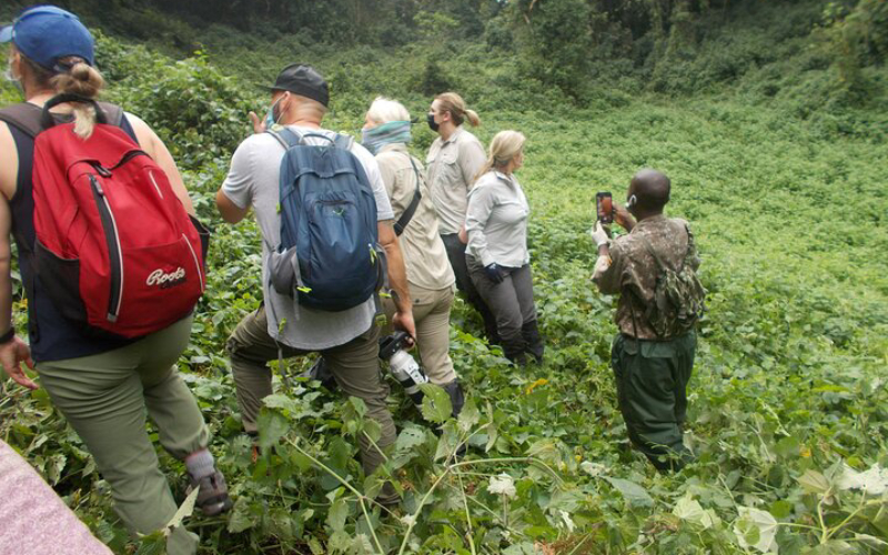Rwanda Safari for Families – Safe & Educational Adventures