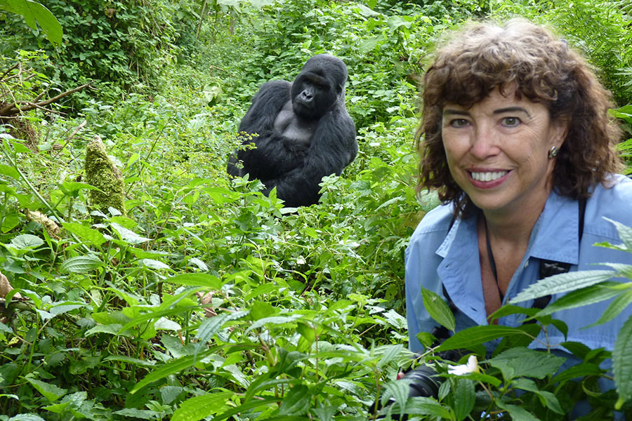 Gorilla Trekking Permit in Rwanda, 4 Days Rwanda Gorilla Safari, guided safaris in rwanda