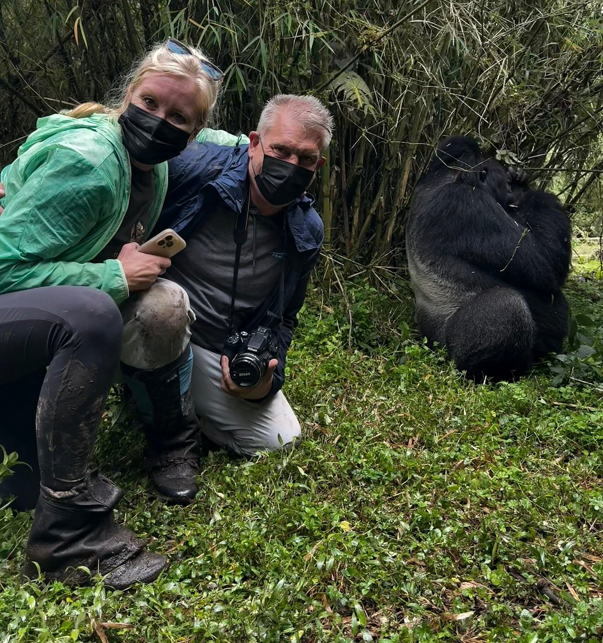 Photography Tips for Gorilla Trekking in Rwanda