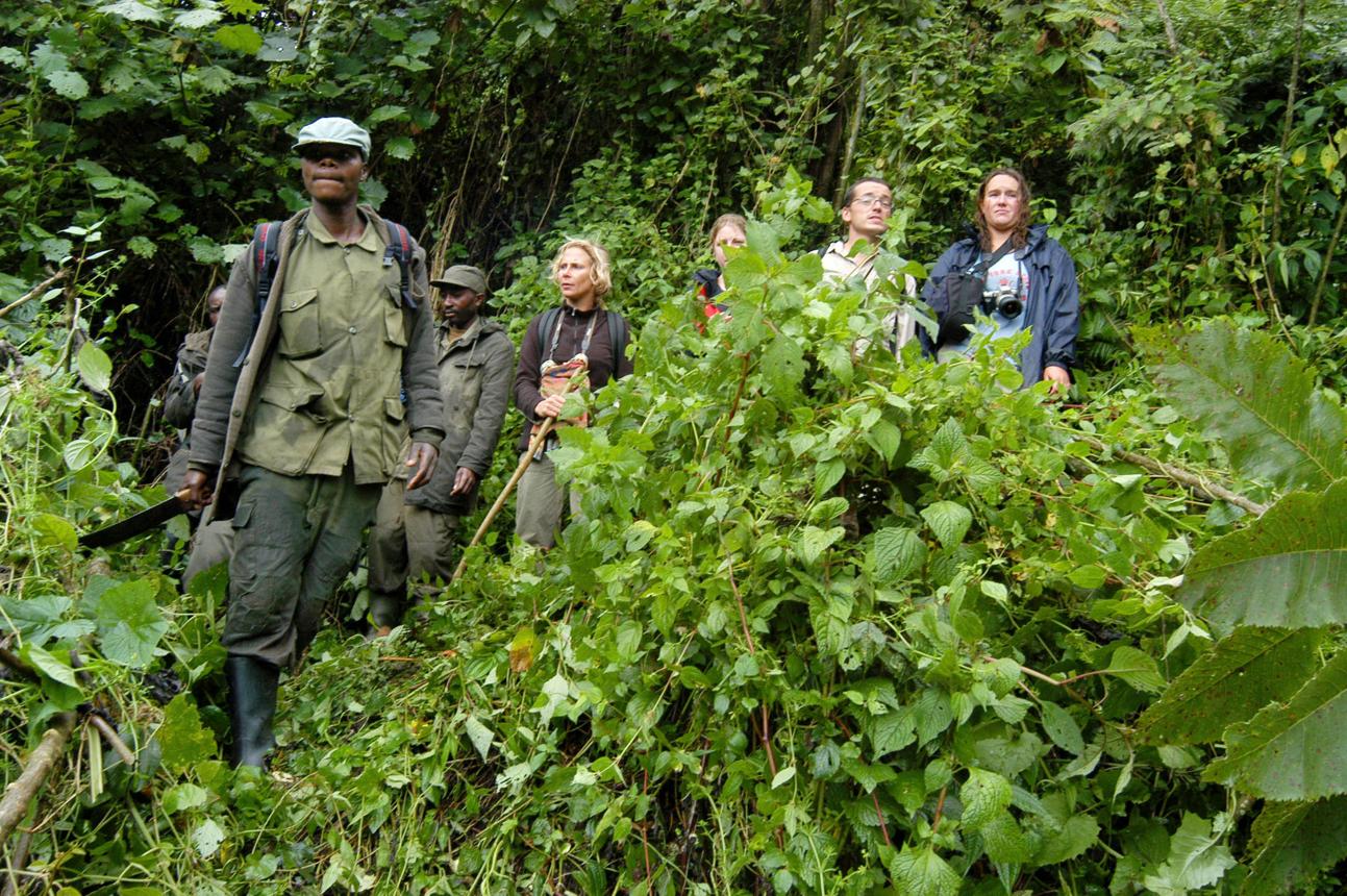 Rwanda Safari Cost – How Much Does a Trip Really Cost?