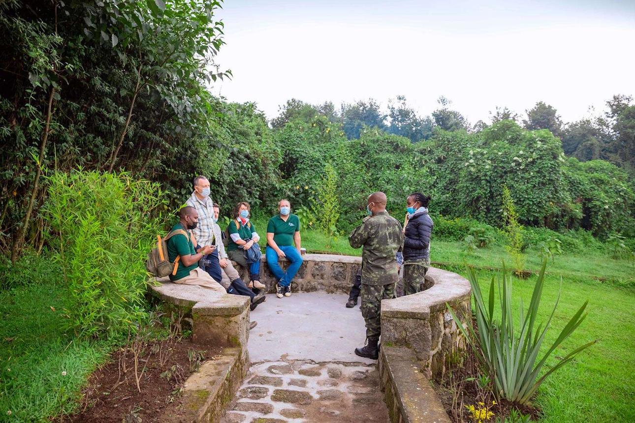 Gorilla Trekking in Rwanda