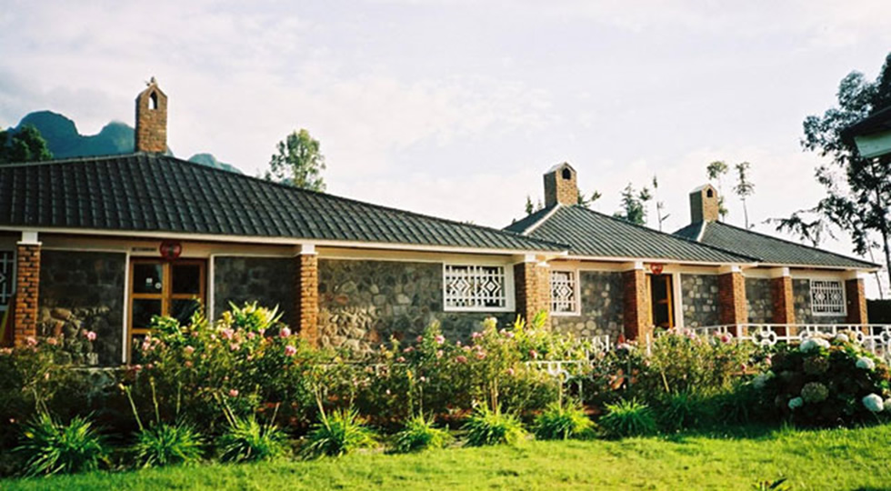 Rwanda Gorilla Trekking from Kigali – 1, 2 & 3 Day Options