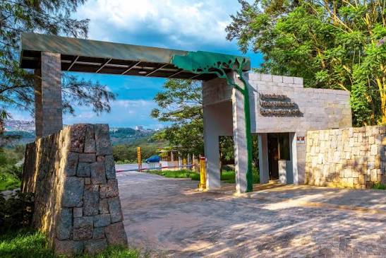 Rwanda Safari for Birdwatching – 700+ Species Guide