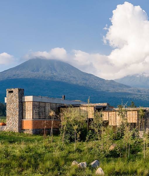 Rwanda Safari Booking Guide – Step-by-Step Planning