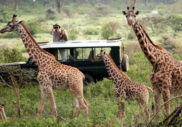 Rwanda Safari and Community Tourism Experiences
