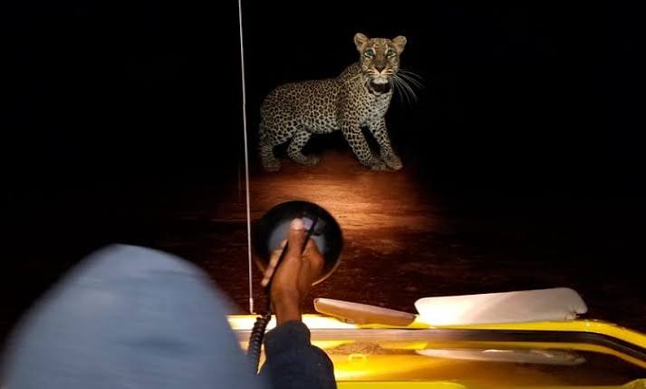 Rwanda Safari for Nature Lovers & Hikers
