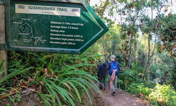 Rwanda Safari for Nature Lovers & Hikers