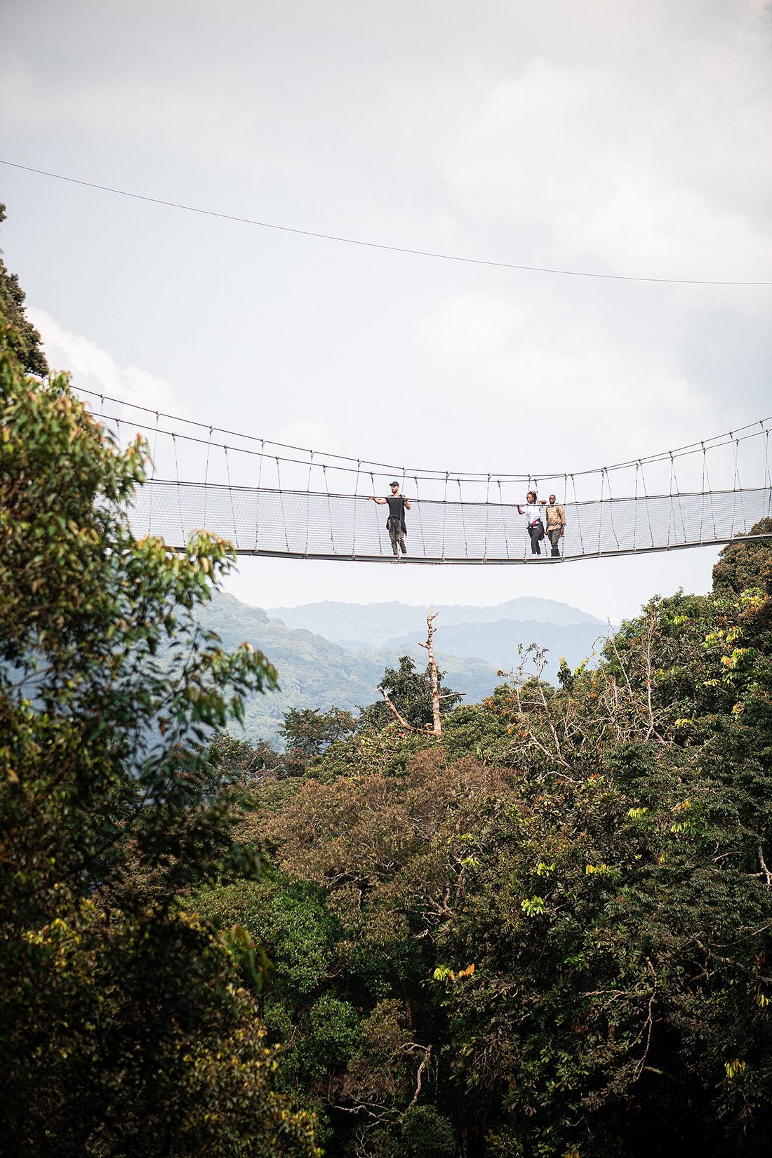 8-Day Rwanda Gorilla, Big Five and Chimpanzee Safari 