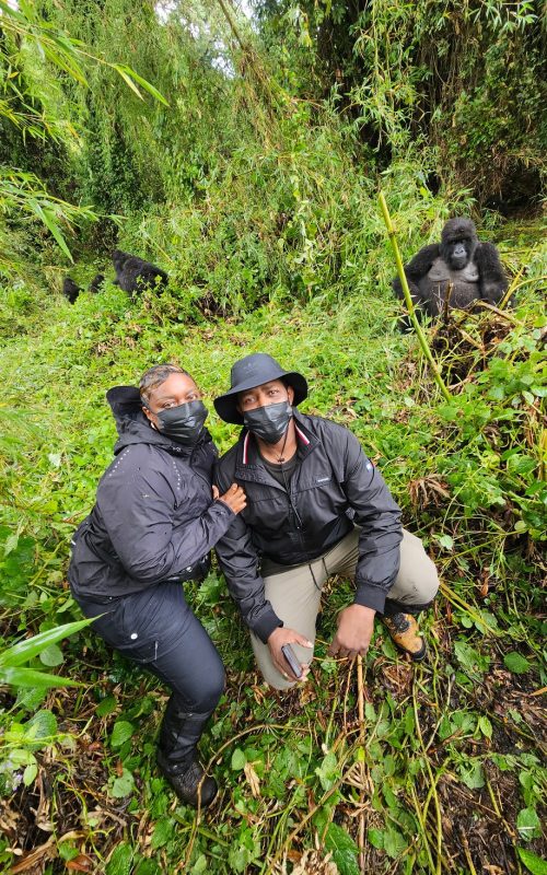 7 Days Wildlife and Primate Safari Rwanda, go gorilla trekking in Rwanda