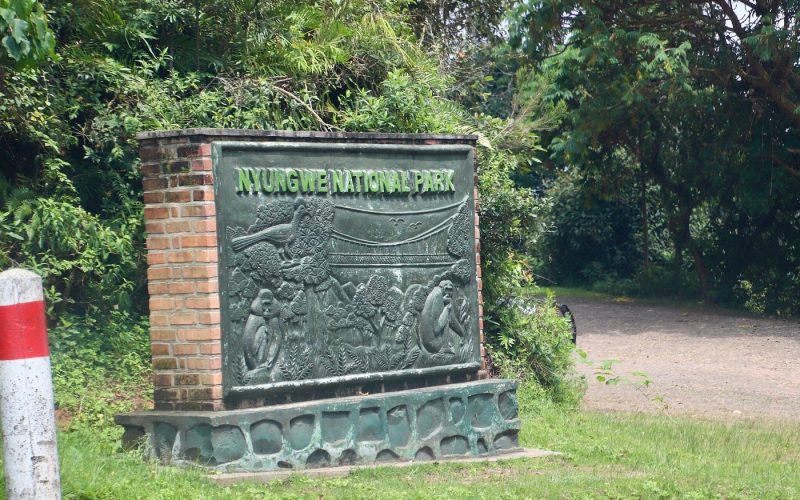 15 days best of rwanda