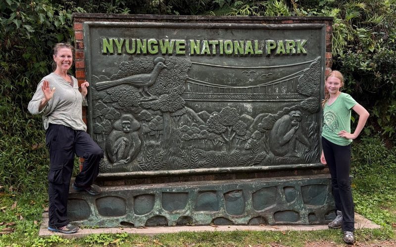 Safaris in Nyungwe National Park, 5 Days Nyungwe Safari and Lake Kivu Adventure, Primate Safaris in Rwanda, Chimpanzee Tracking Safaris, Safaris in nyungwe, nyungwe safaris, primate safaris in nyungwe national park, chimpanzee safaris in nyungwe, chimpanzee trekking in Rwanda, chimp treks, chimp trekking tours, chimpanzee trekking trips, watrefalls in nyungwe national park, birdwatching in nyungwe national park, canopy walkway in nyungwe national park, wildlife safaris in nyungwe national park, nyungwe tours, Nyungwe canopy, nyungwe waterfalls, nyungwe primates, l'hoest monkeys in nyungwe, black and white colobus monkeys in nyungwe national park, vervet mpnkeys in nyungwe national park, nyungwe tourism safaris, nyungwe trekking safaris, nyungwe trails, nyungwe trekking safaris and tours, trek the chimpanzees in nyungwe, 3 days nyungwe chimpanzee trekking and canopy walk adventure, canopy in africa, canopy walkway in africa, Canopy safaris, 5 days chimpanzee trekking in nyungwe national park, 5 days in nyungwe national park, 3 days in nyungwe national park, canopy walk way safaris in rwanda, nyungwe tea plantatuion, cultural tours in and near nyungwe national park, nyungwe