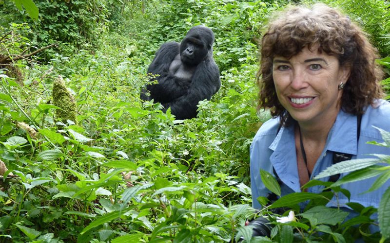 Gorilla Trekking Permit in Rwanda, 4 Days Rwanda Gorilla Safari, guided safaris in rwanda