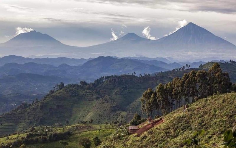 Helicopter transfers in Rwanda, 2 Days Gorilla Trekking in Volcanoes National Park, Rwanda
